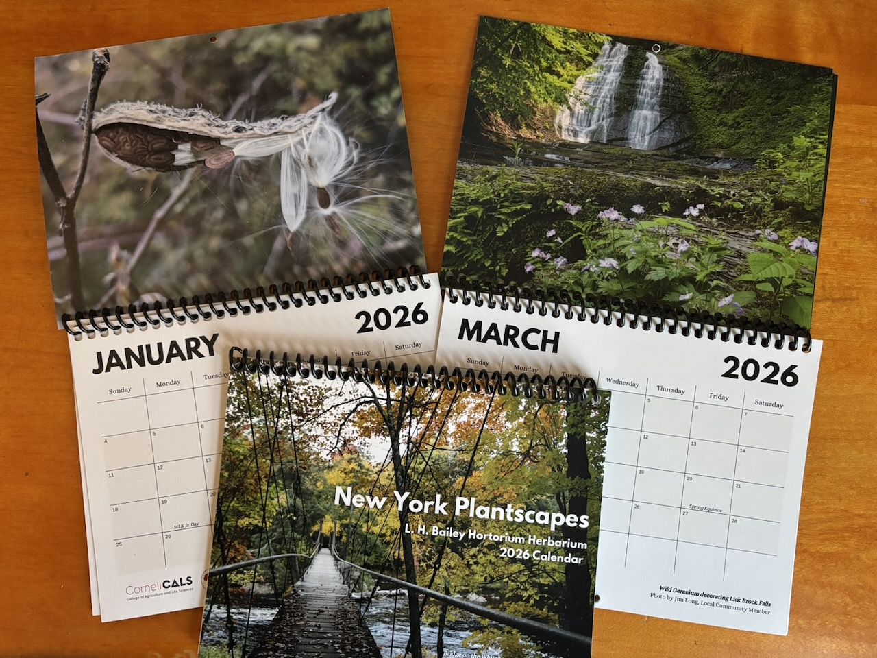 Stickers for the herbarium