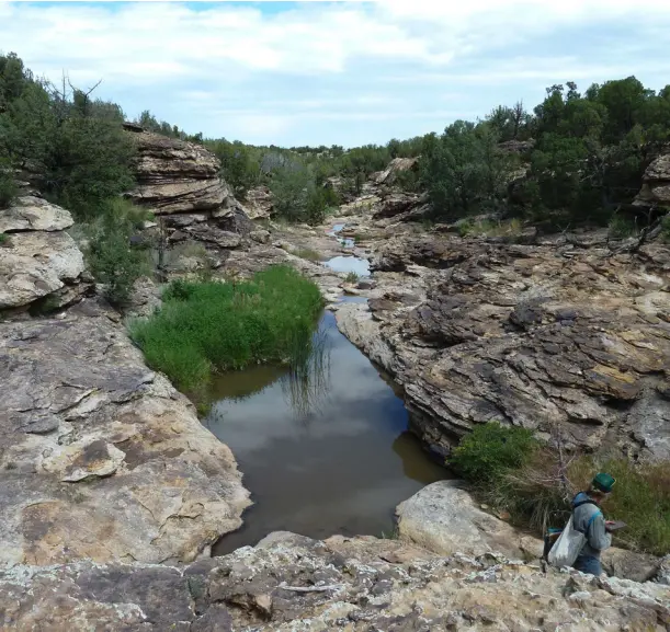 Purgatory canyon drainage