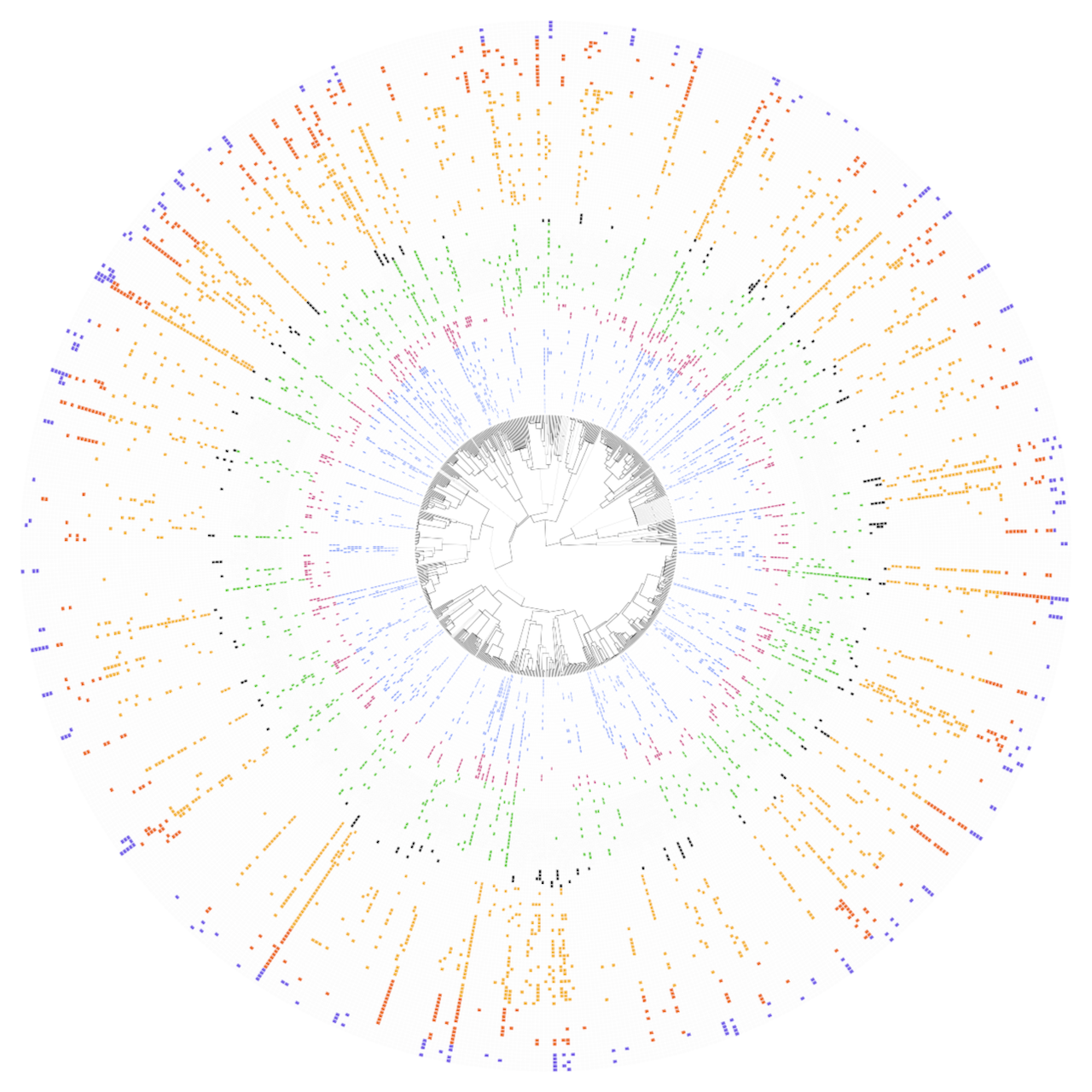 Community phylogeny diagram