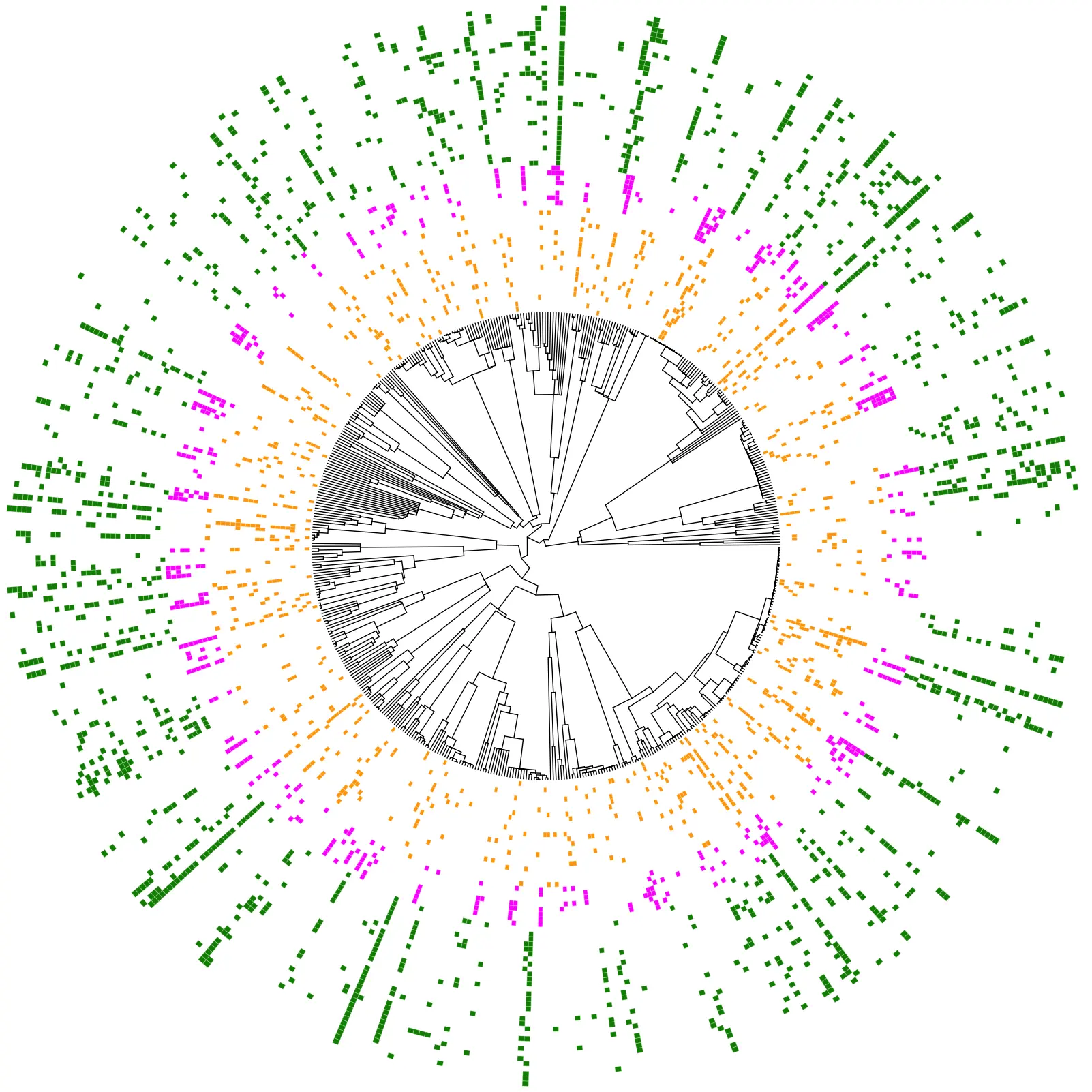 Community phylogeny diagram